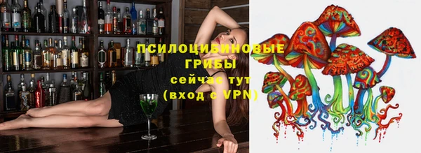 2c-b Куйбышев