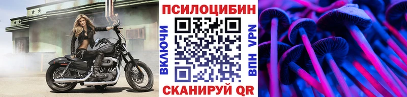 Псилоцибиновые грибы мицелий  Купить  Шенкурск 